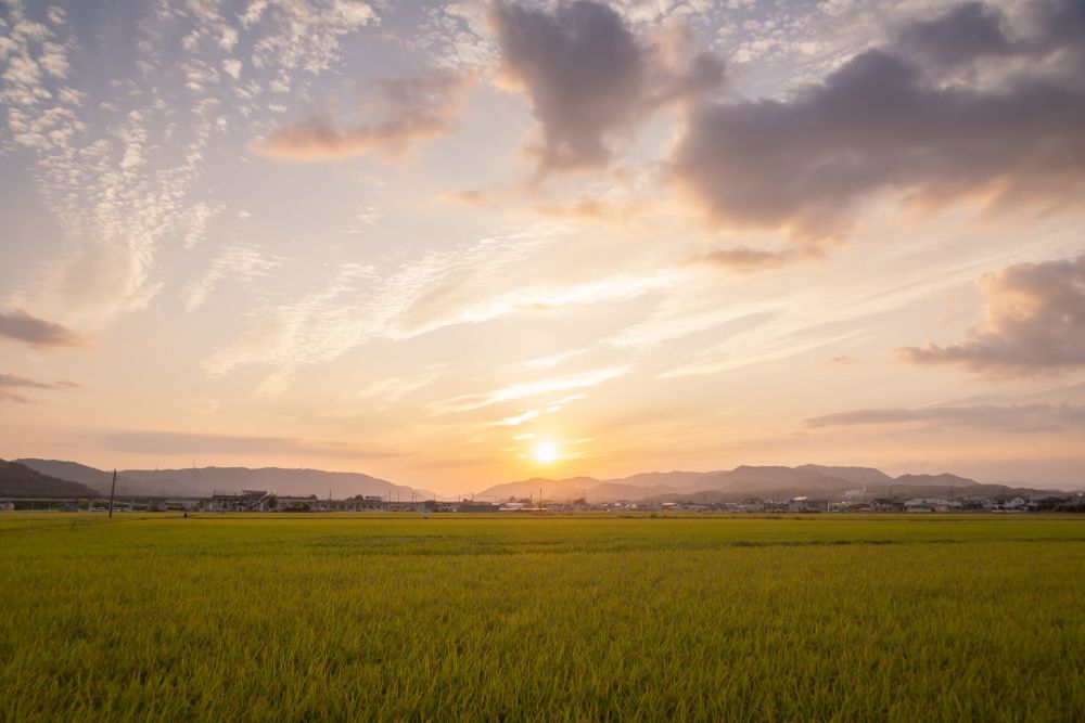 川辺駅付近 夕焼け