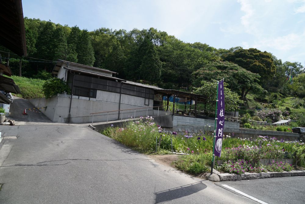 梅雨の季節を彩る紫陽花 ～ 倉敷の紫陽花名所を散策