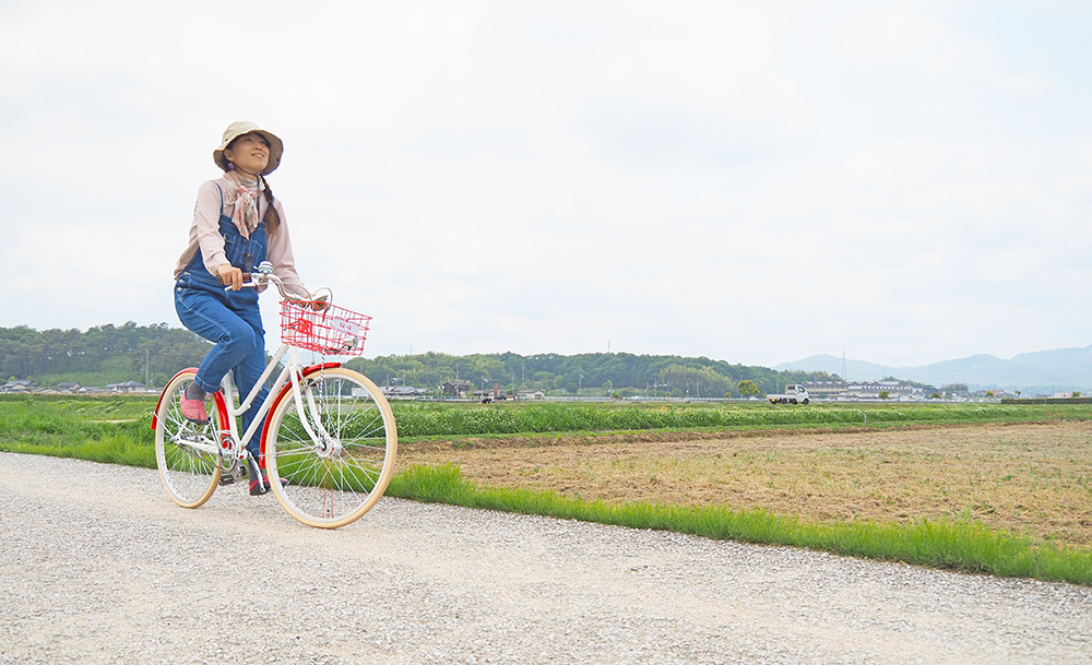 a君8歳男児 夕方自転車