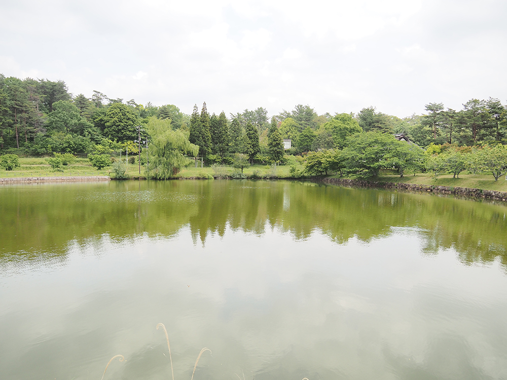 松井池