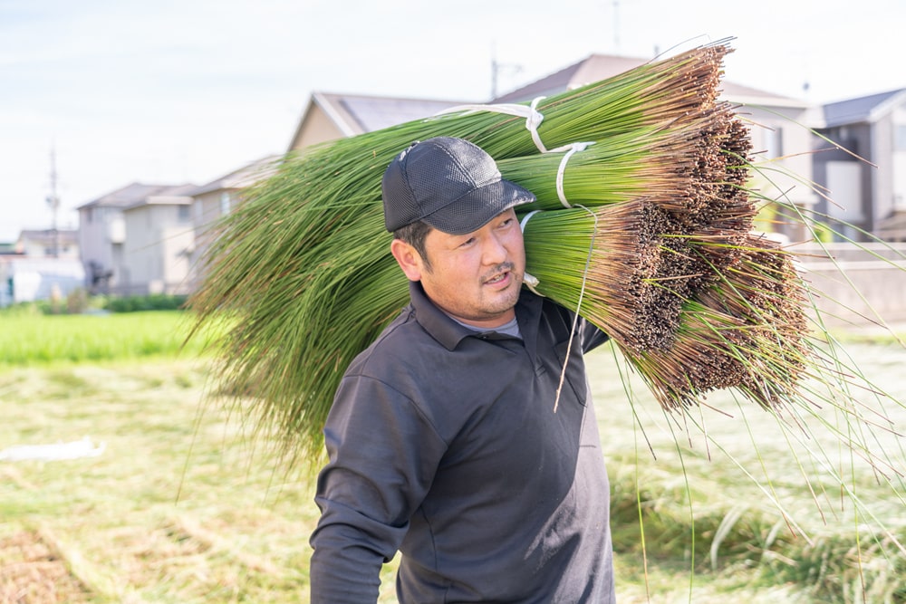 IGUSA LABO ～ い草を育てて染めてござを織る、倉敷のい草産業をつなぐ挑戦