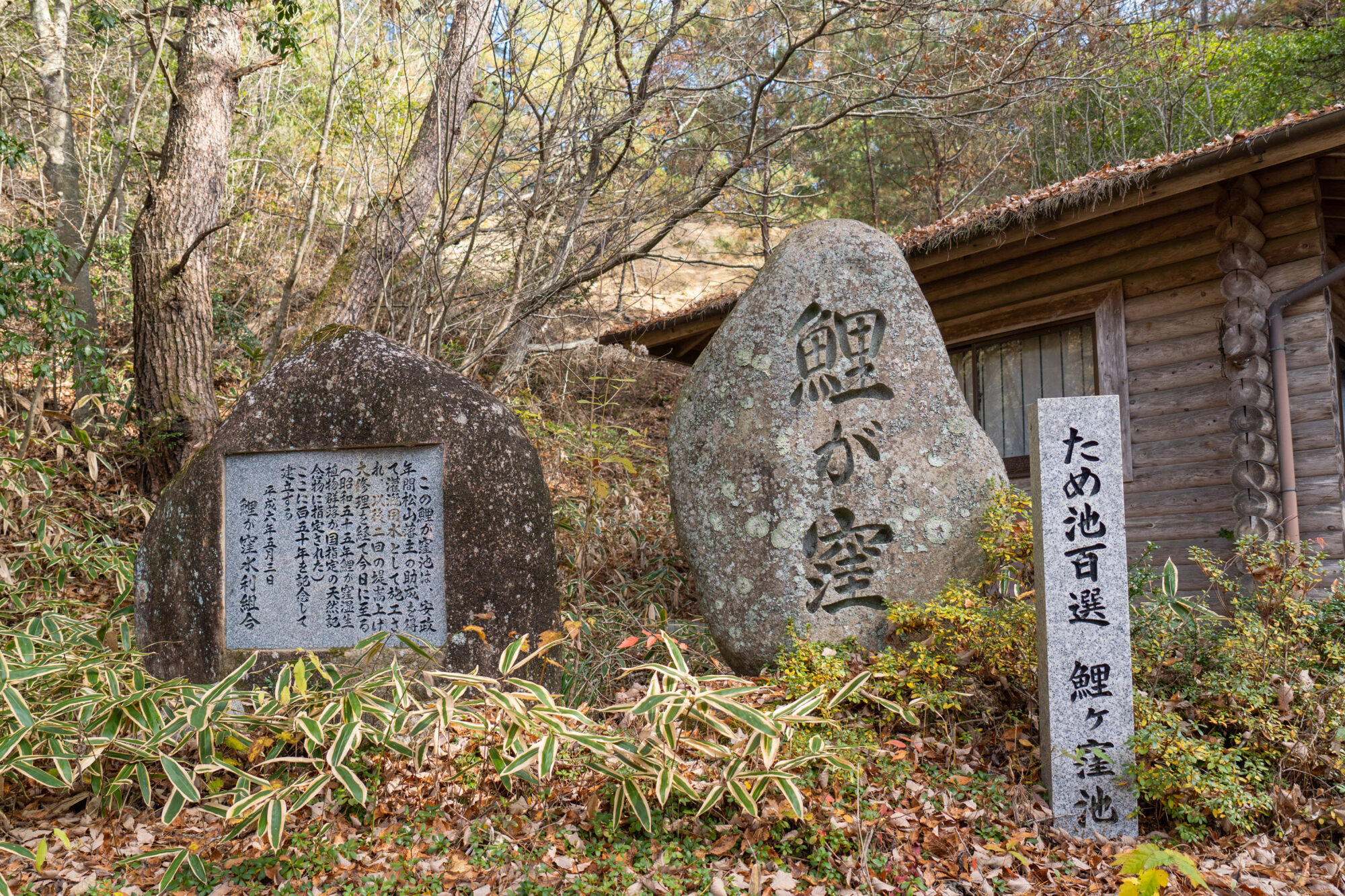 鯉ヶ窪湿原の石碑