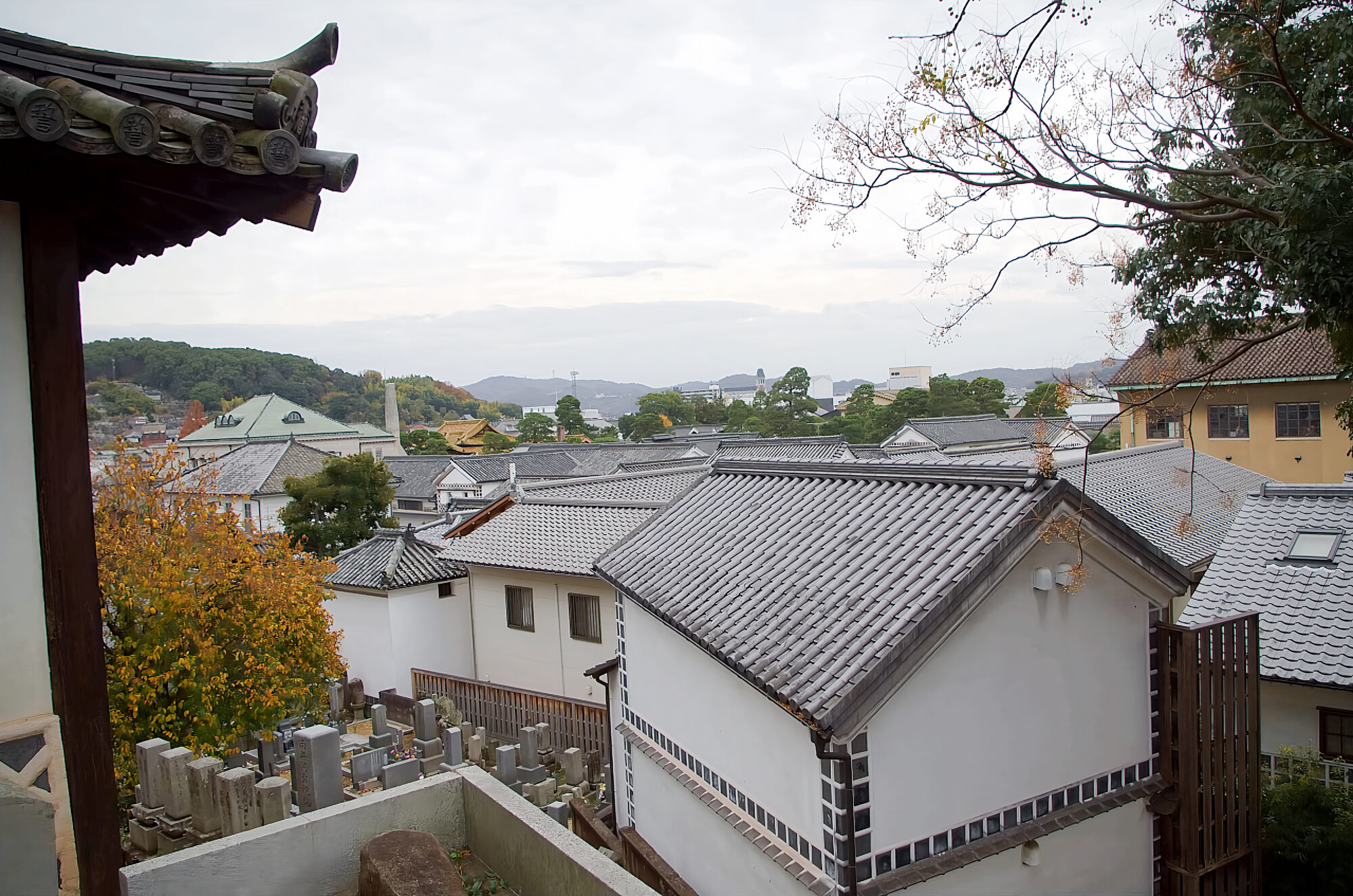 鐘楼からの景色