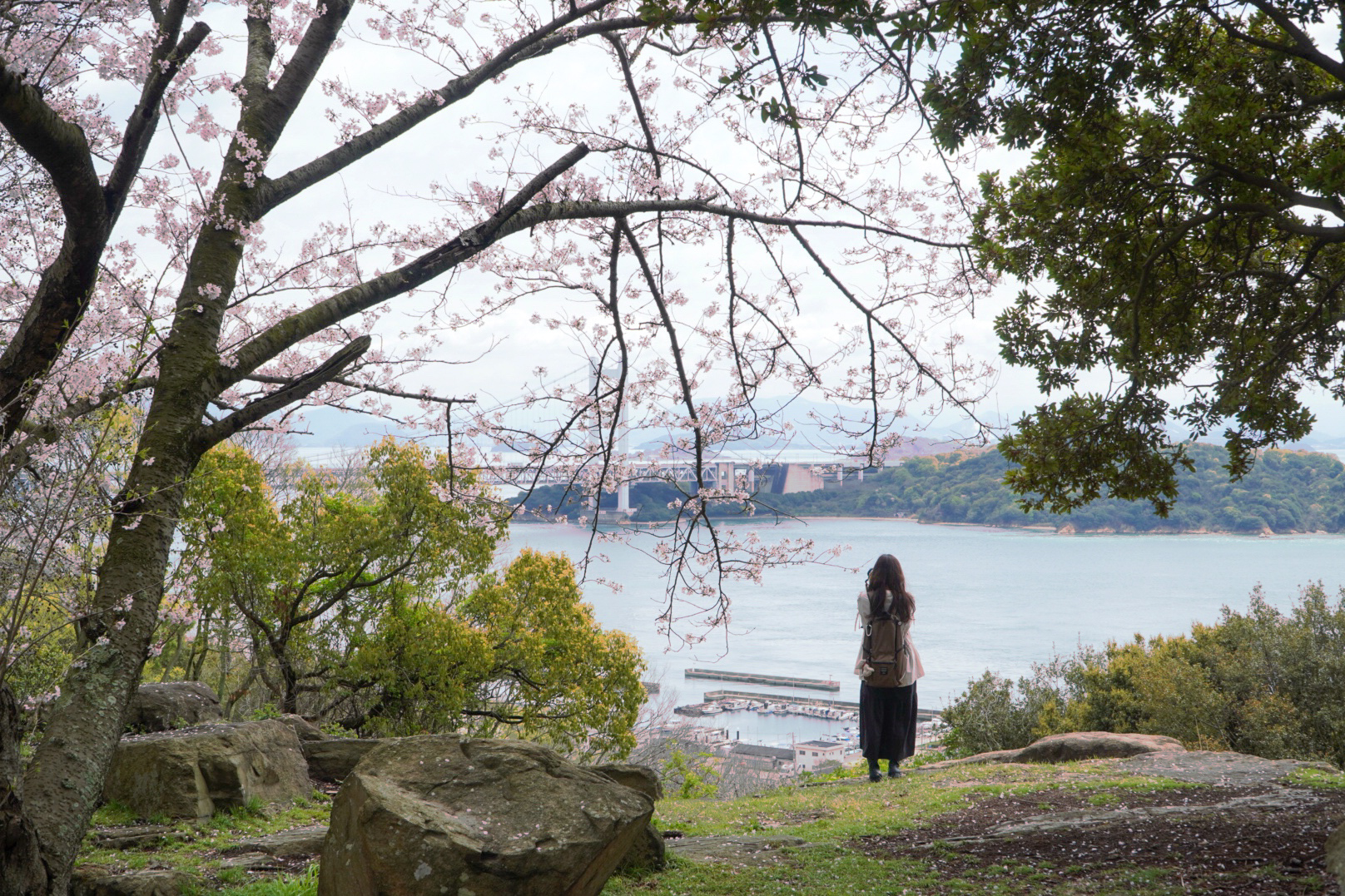 瀬戸大橋と桜を撮影する筆者