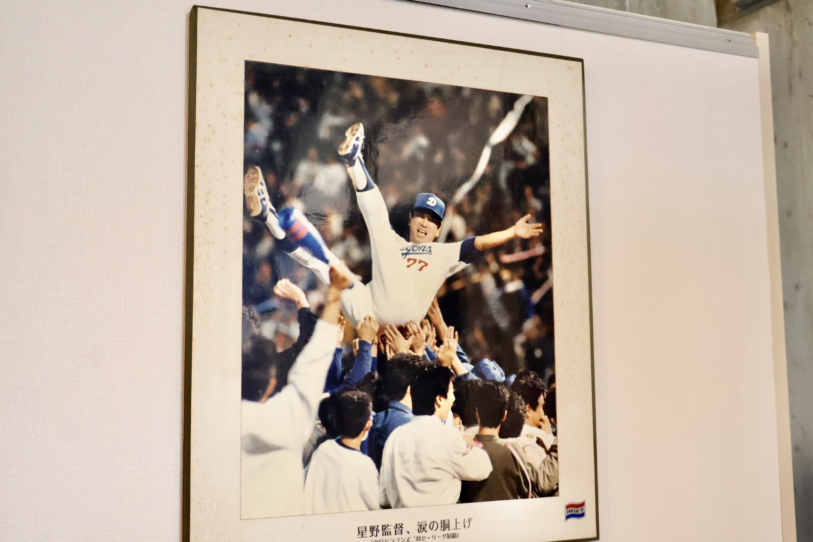 ドラゴンズ 優勝セレモニー 写真 大型パネル 星野監督 ドラゴンズ 優勝