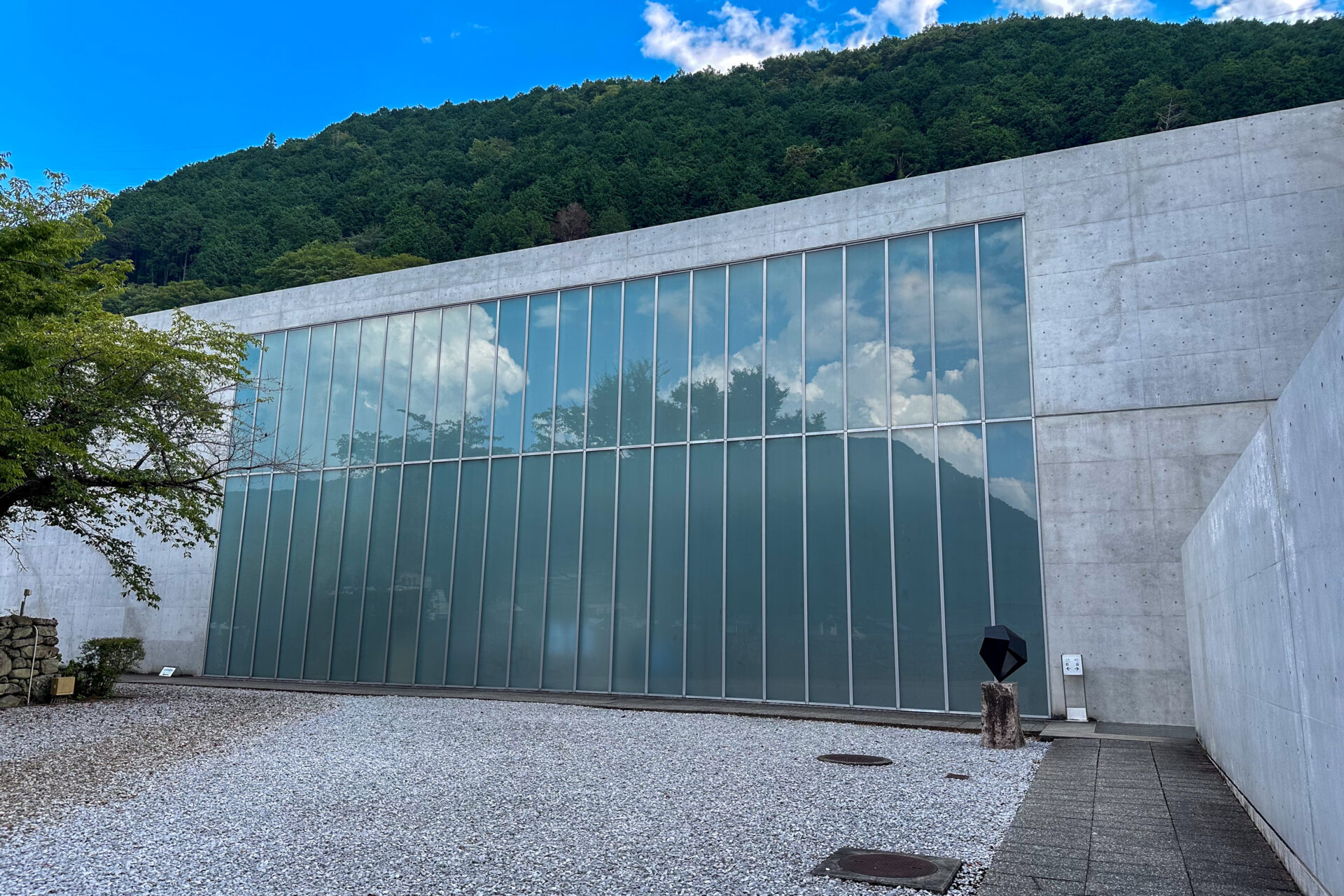 高梁市】恐竜時代の海竜「魚竜化石」特別展示（2025年8月2日〜31日開催